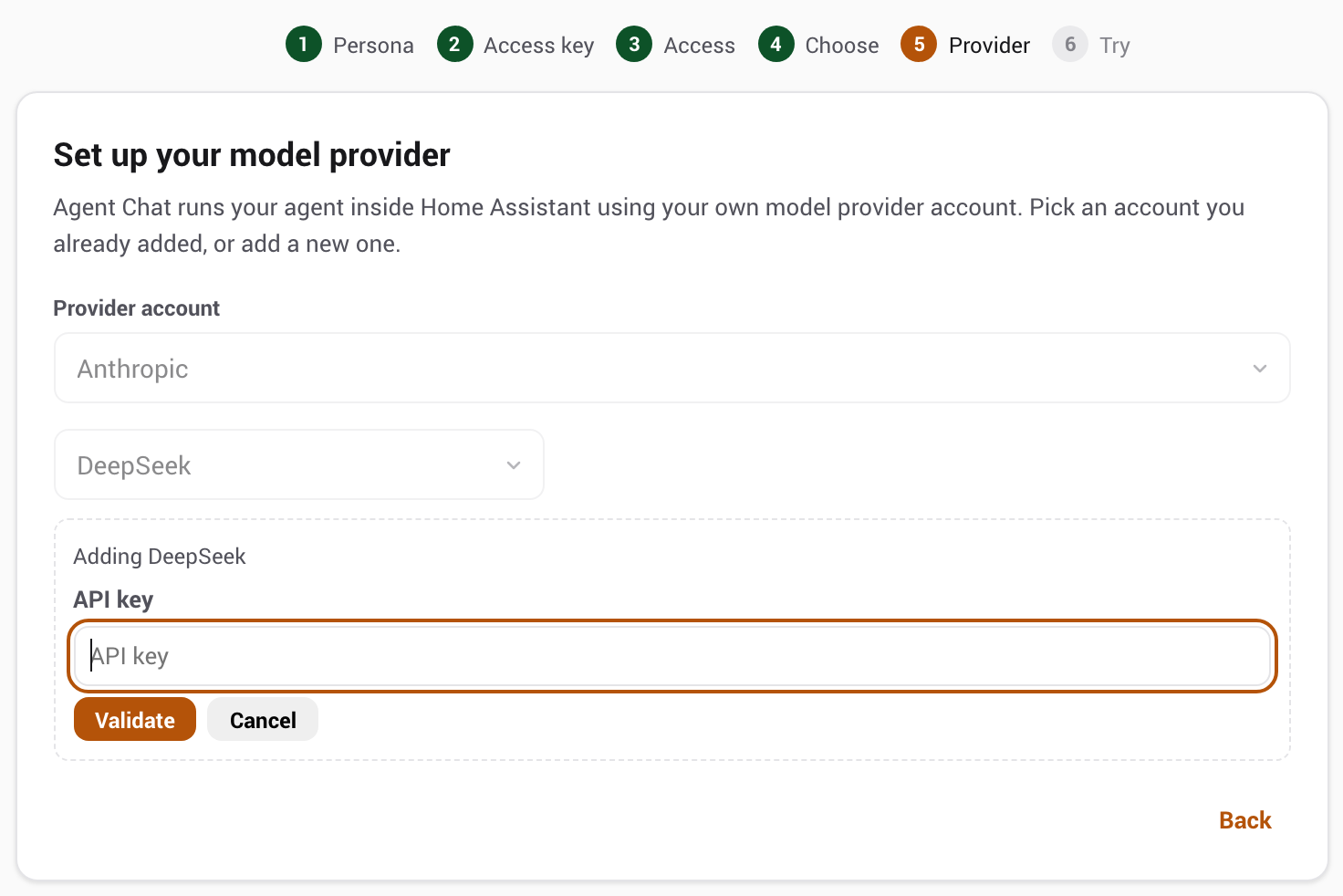 Adding a new provider: an API key field with Validate and Cancel
