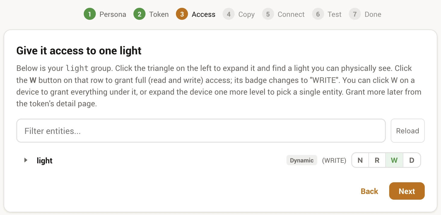 The wizard's access step, granting WRITE to a single light in the entity tree